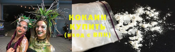 тгк Ладушкин