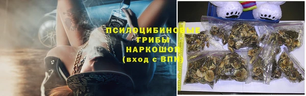 тгк Ладушкин