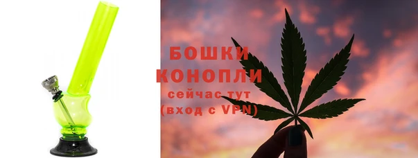 тгк Ладушкин